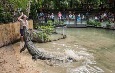 Зоопарк Крокодильи приключения Хартли