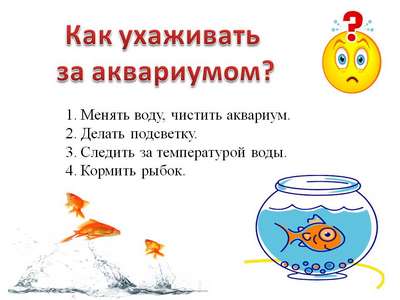 Советы по выбору и уходу за аквариумом