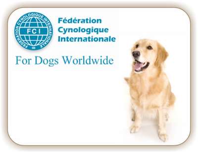 FCI :Новые правила проведения международных выставок собак