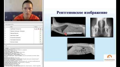 Пpaктические курсы по рентгенологии от «Фауна-сервис»