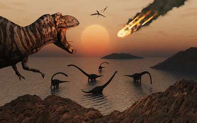 Ученые нашли гигантскую блоху юрского периода