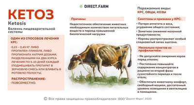 Влияние Ивермага на организм крупного рогатого скота