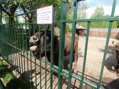 Зоопарк Малиазо