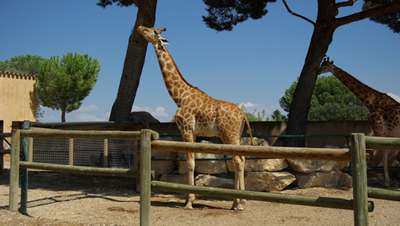 Зоопарк Ла Барбена