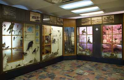 Музей истории природы