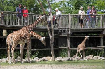 Зоопарк Рамбуйе