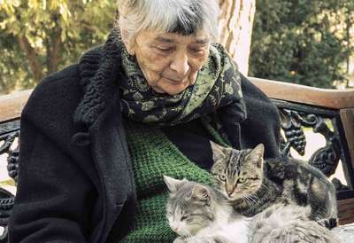 Пожилые кошки: уход и особенности питания