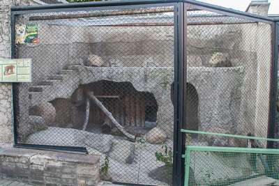 Альтернативный зоопарк