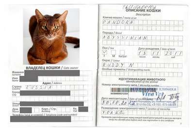 Сколько стоит оформление ветпаспорта для кошек в г. Киев