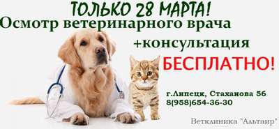 Сколько стоит осмотр и консультация ветеринара в г. Киев