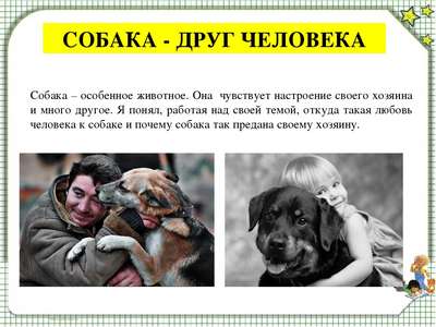 Александр Малхазов: "Должна произойти эмоциональная встреча между собакой и теми, кто будет ее окружать"