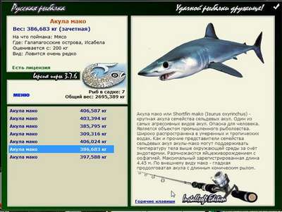 Рыбы семейства сельдевые акулы