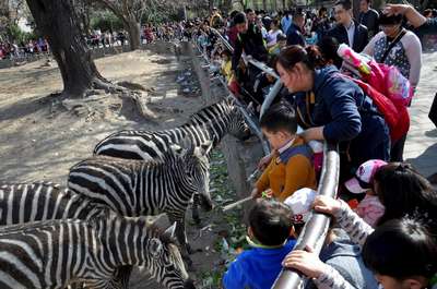 Зоопарки Китая