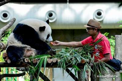 Зоопарки Малайзии
