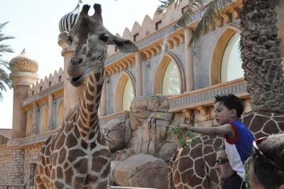 Зоопарки Объединённых Арабских Эмиратов