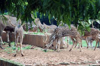 Зоопарки Бангладеша