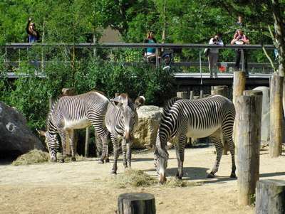 Зоопарки Франции