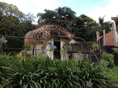 Зоопарки Бразилии