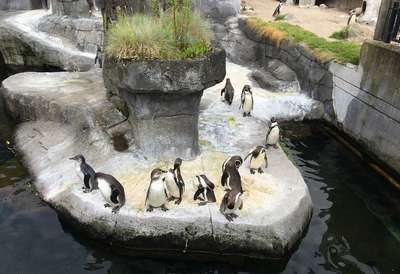 Зоопарки Дании