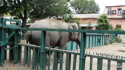 Зоопарки Индии