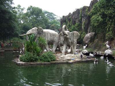 Зоопарки Индонезии