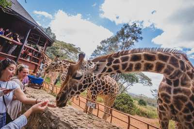 Зоопарки Кении