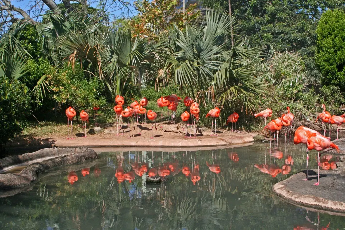 Бермудский зоопарк