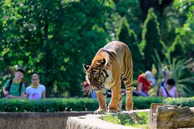 Зоопарк Варшавы