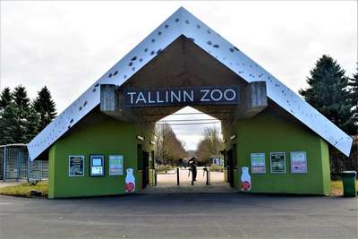 Зоопарк Таллина