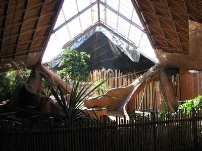 Зоопарк тропическая пирамида