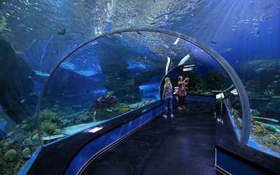 Зоопарк Мир океана