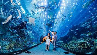 Зоопарк Подводный мир
