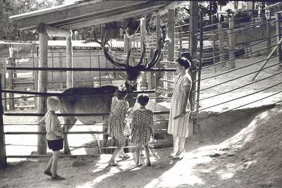 Стара Загорский зоопарк