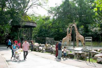 Зоопарк Бен Акнун