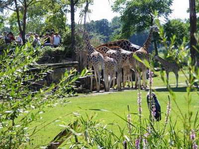 Водный и зоологический сад-зоопарк