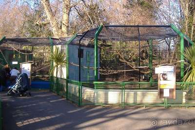 Зоопарк Баттерси