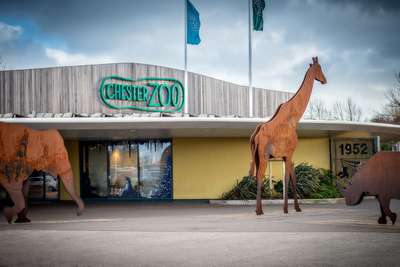 Зоопарк Честера