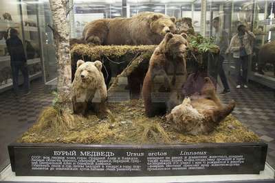 Зоологический музей-зоопарк Санта-Фе