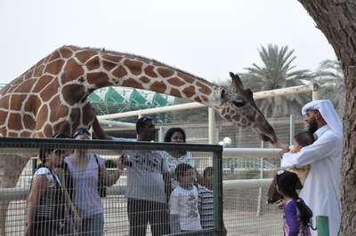 Зоопарк Дохи