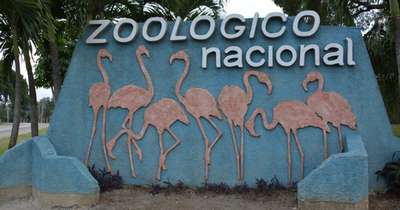 Цветущий зоопарк Гаваны