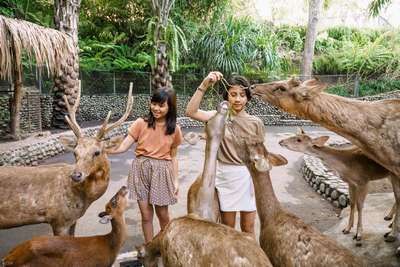 Зоопарк Бали
