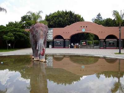 Зоопарк Гвадалахары