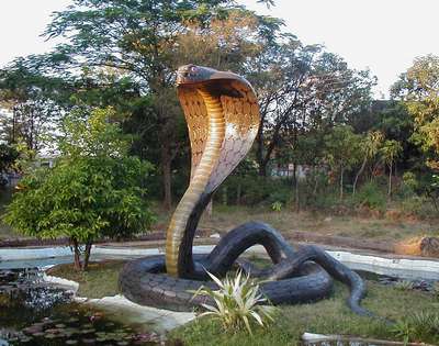 Парк змей