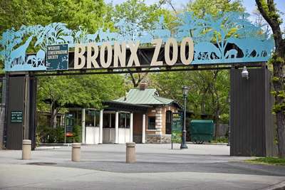 Зоопарк Бронкса