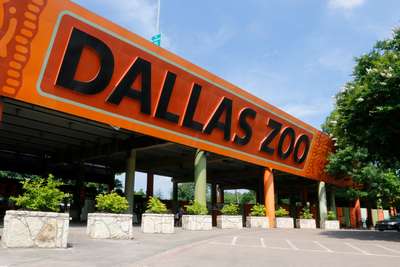Зоопарк Далласа