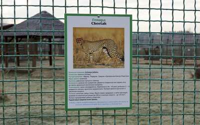 Зоопарк Виндфлачвег