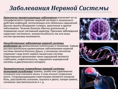 Болезни нервной системы кошек: воспаление мозга, невроз, анемия
