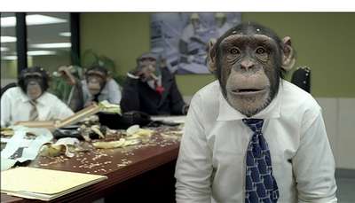 Депутат против обезьян