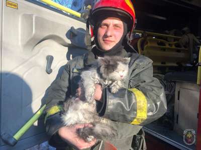 Огнеборец из США спасает из пламени животных