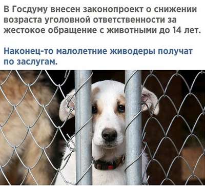 защитники животных обвинили служителей русской православной церкви в жестоком обращении с животными